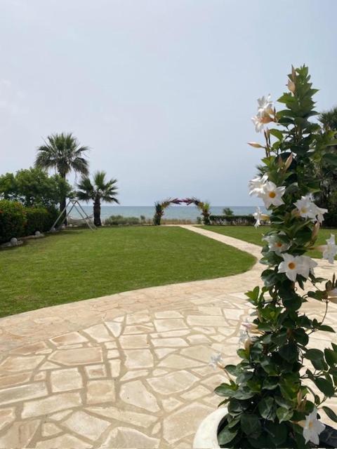 Ionion Beachfront Villa أيا نابا المظهر الخارجي الصورة