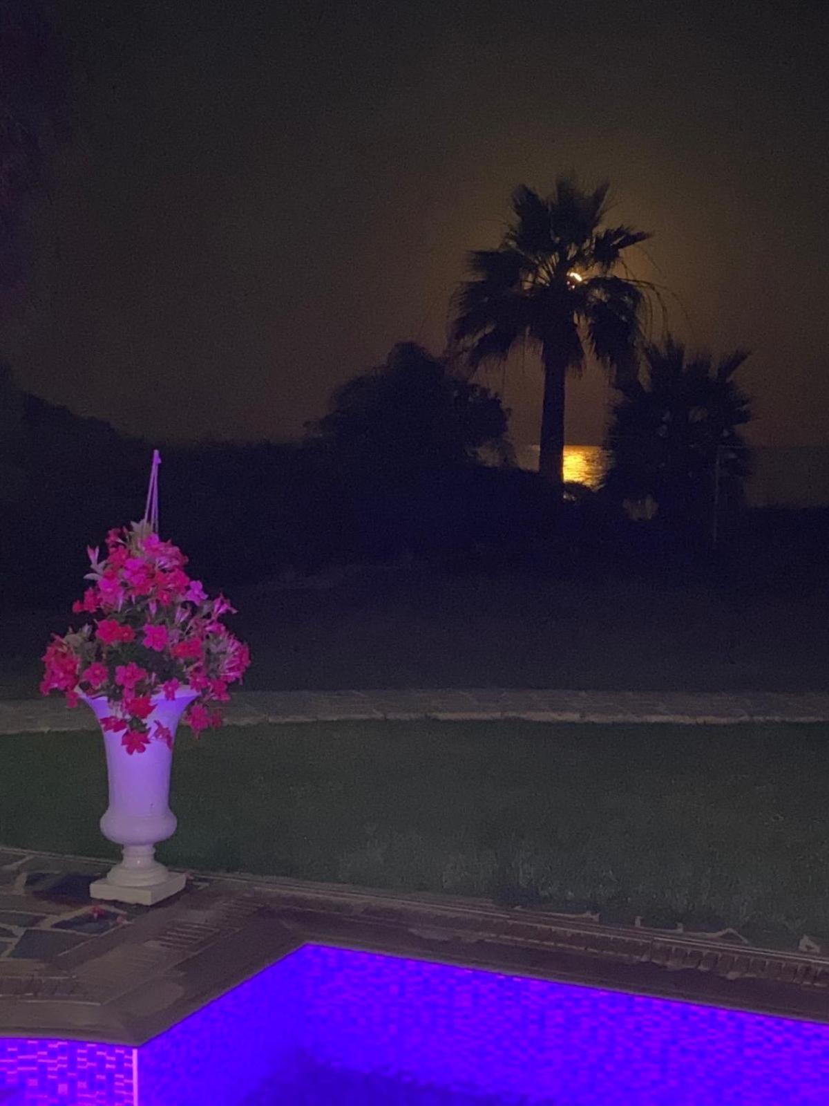 Ionion Beachfront Villa أيا نابا المظهر الخارجي الصورة