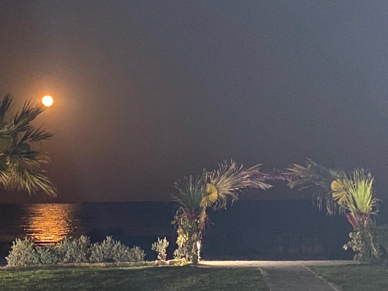 Ionion Beachfront Villa أيا نابا المظهر الخارجي الصورة